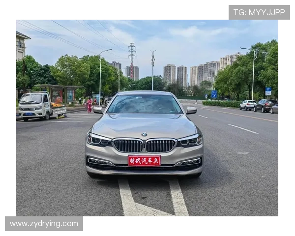 18万拿下宝马5系？2018款530Li，感受后驱操控乐趣！