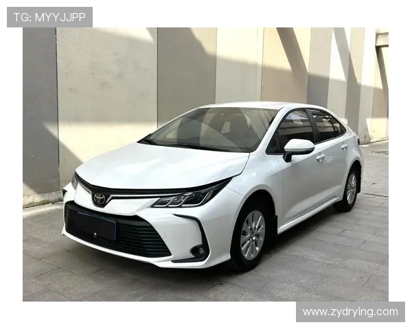 19款卡罗拉1.2T先锋版卤素灯换LED灯泡