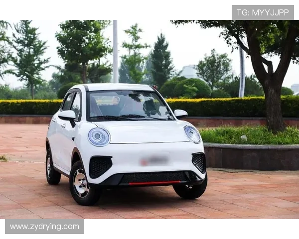 2-3万元是主力 在售低速电动车种类盘点