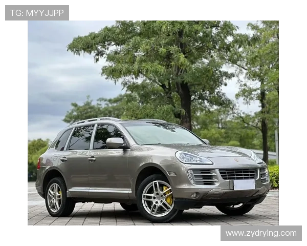 2008年花116万买的卡宴，带后挂备胎，车主坦言现在18万都没人要